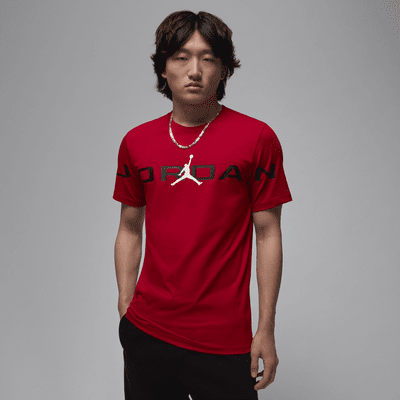 NIKE JORDAN メッシュ Tシャツ M NIKE JORDAN Jumpman Mesh Jersey ジョーダン メッシュ Tシャツ
